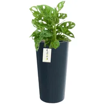 Botle Blumentopf Ø 20 x 38,5 cm Anthrazit