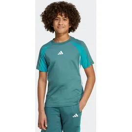 adidas - Seasonal Essentials Colorblock T-Shirt Kinder preloved teal, - grün