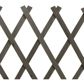 vidaXL Garten Rankzaun 150 x 80 cm grau