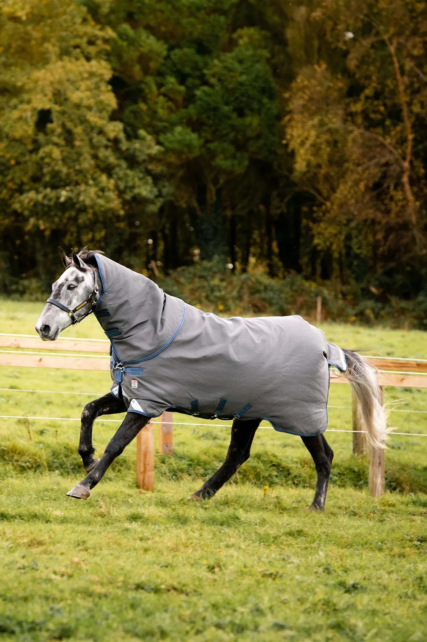 Horseware Rhino Plus HexSTOP Vari-Layer Weidedecke, 100g