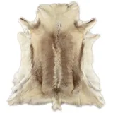 KUHFELL online & NOMAD Fellteppich Rentierfell hellgrau beige – echtes Rentierfell 120 x 100 cm dekorativ, Einzellstück