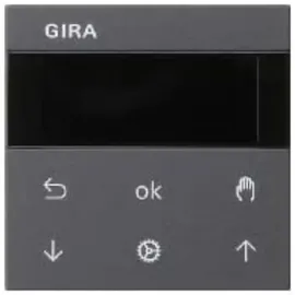Gira Lichtschalter 536628