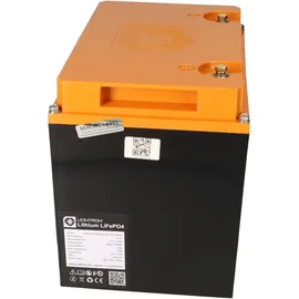 LIONTRON LiFePO4 Akku 12,8V 80Ah 1,024 kWh Victron Orion-Tr Smart 12/12-30A Ladebooster