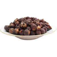 Dalimar Waschnüsse 10 kg – Ökologisches Waschmittel aus Wildwuchs – Großpackung für Allergiker & sensible Haut – Naturrein, vegan & duftfrei