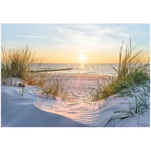 WallArena Fototapete Strand in Beige | Gr.: 150 x 105 cm
