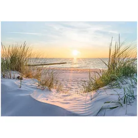 WallArena Fototapete Strand in Beige | Gr.: 150 x 105 cm