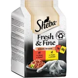 Sheba Fresh & Fine in Sauce 36 x 50 g