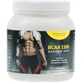 Exvital BCAA 1100 Maximum Caps, Aminosäure, 300 Kapseln in Spitzenqualität, mit Vitamin B6, 1er Pack (1 x 384g)