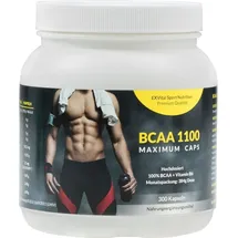 Exvital BCAA 1100 Maximum Caps, Aminosäure, 300 Kapseln in Spitzenqualität, mit Vitamin B6, 1er Pack (1 x 384g)