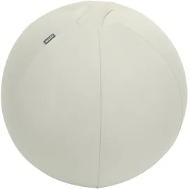 Leitz Ergo Active Sitzball Grau 65 cm