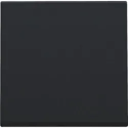 Niko Züblin 161-31002 Abdeckung für einen einzelnen elektronischen Schalter oder Taster, black coated 16131002