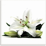 Artland Glasbild »Große Lilie«, Blumen, (1 St.), in verschiedenen Größen, weiß
