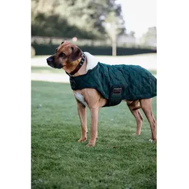 Kentucky Hundejacke Dunkelgrün 44-50 cm
