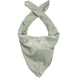 Devold of Norway Endurance Merino Bandana Grau