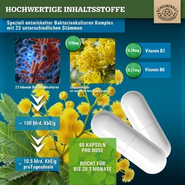 Scheunengut FLORA INTENSO Probiotika Kapseln 60 St.