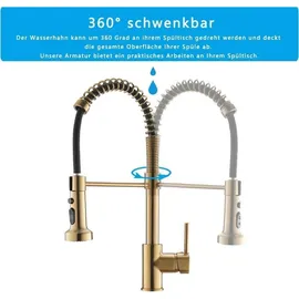 Timaco Gold Küchenarmatur Pull-Down-Sprühgerät