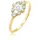 Elli Verlobungsring Verlobungsring Zirkonia Weiß 925 Sterling Silber goldfarben 54 mm