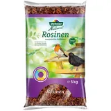 Dehner Natura Premium Wildvogelfutter, Rosinen