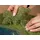 NOCH Laub-Foliage 07300