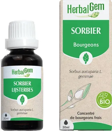 Herbalgem Eberesche Konzentriertes Muttermazerat Bio 30ml