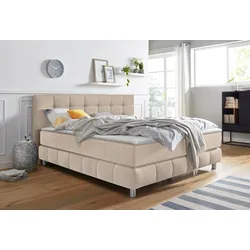 Boxspringbett ANDAS "Salo XXL", beige, B:194cm L:231cm, Komplettbetten, Boxspringbett, in Samtoptik oder Struktur, 6 Breiten in Überlänge 220cm, 4 Härtegrade