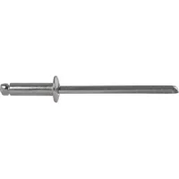  Blindniete Flachrundkopf ISO15983, Edelstahl mit Edelstahldorn - 4,8x20 mm