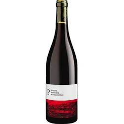 Weingut Pflüger Pinot Noir Buntsandstein Qualitätswein Pfalz 2022, Bio Rotwein, Biowein