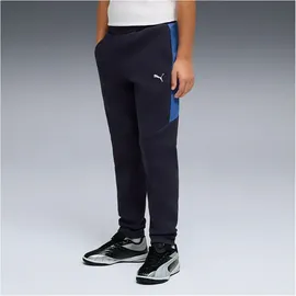 Puma Evostripe Blau 140