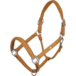 Lederhalfter für Pferde HV Polo Soft COB