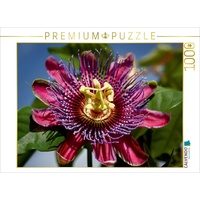 Calvendo Passiflora - Passionsblume Puzzle