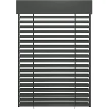Schellenberg Raffstore Express 240 x 260 cm Anthrazit