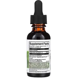 Swanson Ginkgo Biloba Flüssigextrakt 250 mg 29,6 ml