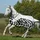 Bucas Buzz-Off Rain Zebra & Neck