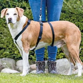 Trixie Panikgeschirr Stay Hundegeschirr Schwarz S-M