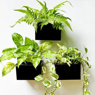 LáLáGreen Wand-Pflanzgefäß (3 Stück, 15,2 cm), Wandhalterung, Pflanzgefäße für Sukkulenten, schwarz, rechteckiger hängender Metall-Blumentopf, Lange Fensterkästen, Zaun, Luftpflanzenhalter,