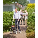 TRUST CARE Outdoor Rollator Let's Go Out faltbar beige/silber