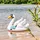 Intex Schwimmtier Schwan 194 x 152 x 147 cm
