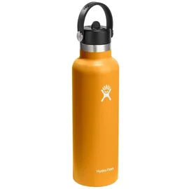 Hydro Flask Standard Flex Straw 620ml Flasche - Fossil - One Size