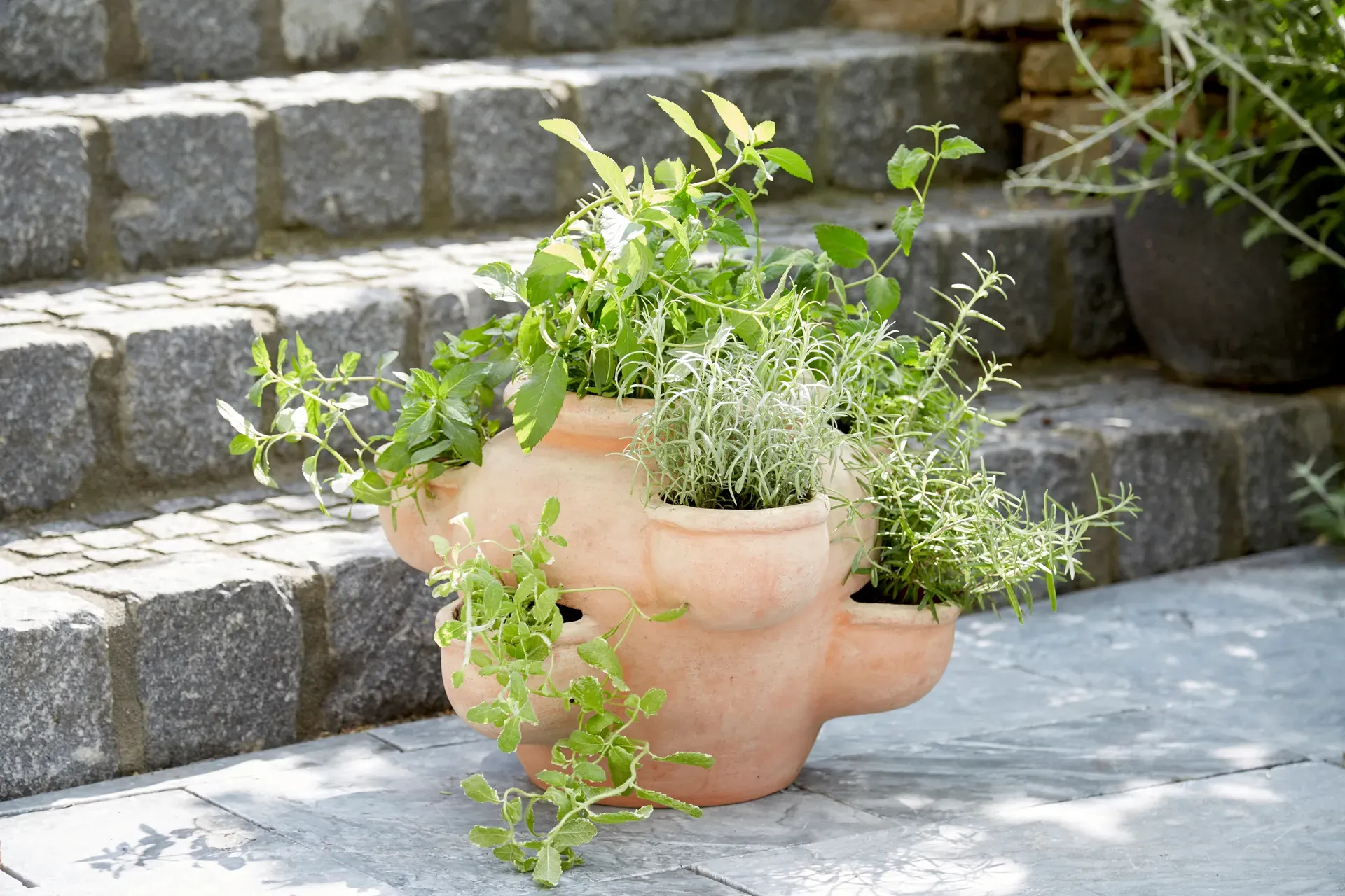 Erdbeerkübel Berry - Terrakotta - 42 cm