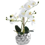 OTTO home Kunstpflanze Orchidee, inklusive Übertopf aus Keramik in schwarz oder silberfarben Orchidee, OTTO home, Höhe 38 cm, Kunstorchidee, BESTSELLER, 38 oder 55cm hoch silberfarben|weiß