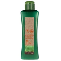 Salerm Cosmetics Biokera Salerm Shampoo Für Behandelte Haare 300 ml