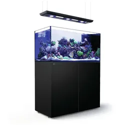 Red Sea Peninsula P500 Deluxe Meerwasseraquarium mit Unterschrank schwarz