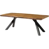 MASSIVMOEBEL24.DE Baumtisch 200 x 76 x 100 cm natur lackiert/grau