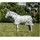 Horseware Ireland Fliegendecke Integrated Fly Sheet dragonflyprint/silver/bluesage 165 cm)