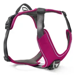 Wolters Active Pro Comfort Hundegeschirr Magenta/Anthrazit 40-47,5 cm