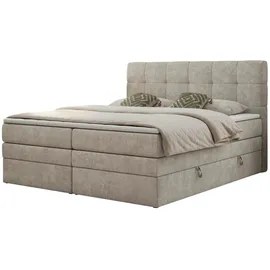 MKS Luka King 140 x 200 cm H3 Beige