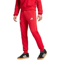 adidas Fc Bayern Munich 24/25 Dna Hosen - Team Power Red 2 - XS
