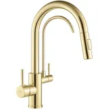 REA ECO FRESH Spültischarmatur Gold