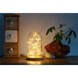 goobay Glasglocke LED-Micro-Lichterkette 5 m Warmweiß