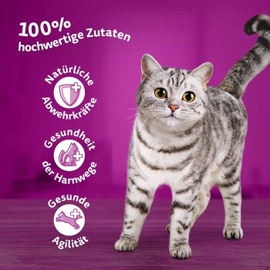 Whiskas 443145 Katzen-Dosenfutter 85 g